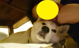 mkm3.jpeg