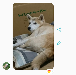 gknsk2.png