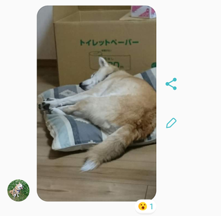 gknsk3.png