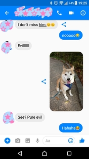 hrypr3.jpg