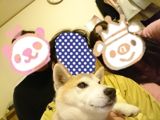 sygk2.jpg