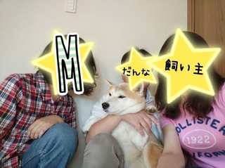 sygm3.jpg