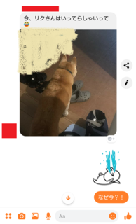 tmlg2.png